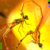 8f3460ee8e68.png