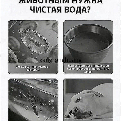 1780920120235.jpg