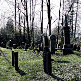 C41AC5C2 9C7F 42FE 9F7E A404BCADCFC2.gif