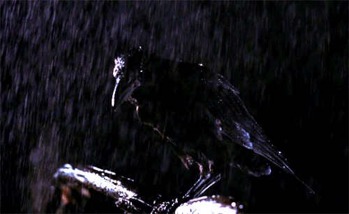 0A53ADE8 AAE0 43B9 B574 5224D3C79915.gif