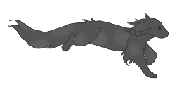 IMG 5915.png