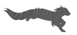 IMG 5919.png