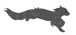 IMG 5917.png