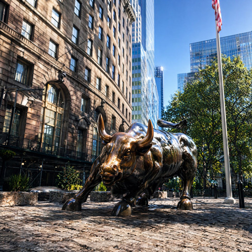 Bull with environment.jpg