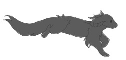IMG 5922.png