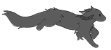 IMG 5921.png