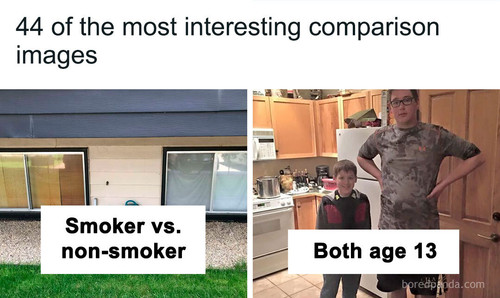 cool comparisons.jpg