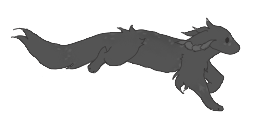 IMG 5920.png