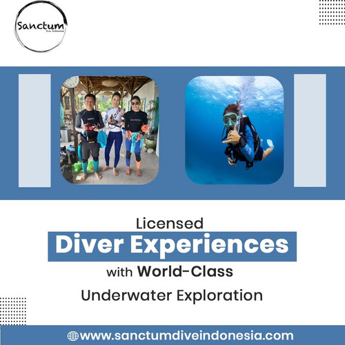 Licensed Diver Experiences with World-Class Underwater Exploration.jpg