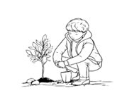 Picture15.png