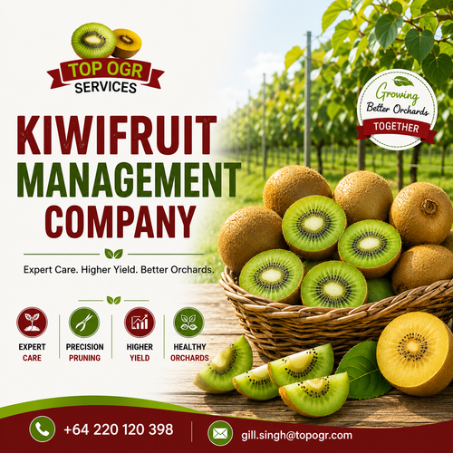Kiwifruit management company.png