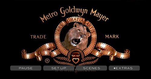Screenshot 1.png