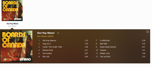 MusicBee JD9A3bvlYq.png