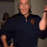 epstein epstein files.gif