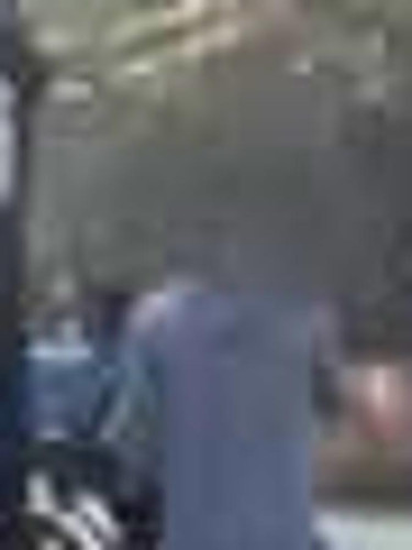 lf.jpg