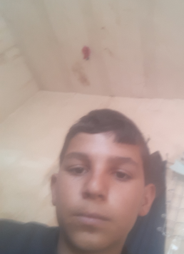 temp.png