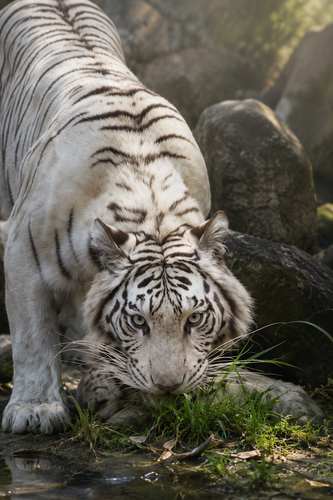 cc640a1c0537.png