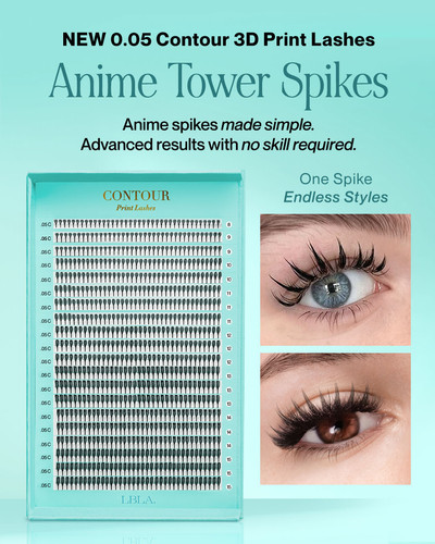 Anime Infographic with Box.jpg