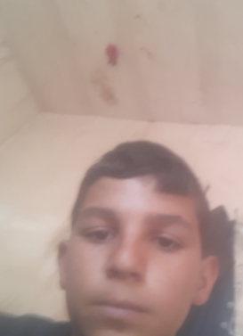 temp.png