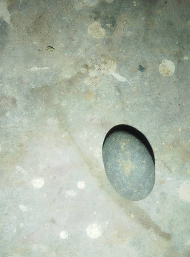 1d969b4c0485.jpg