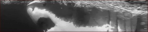 1p.gif