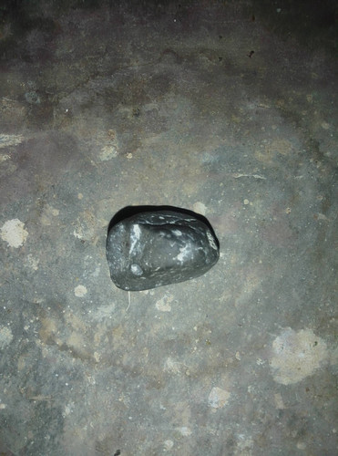 04aa69335404.jpg
