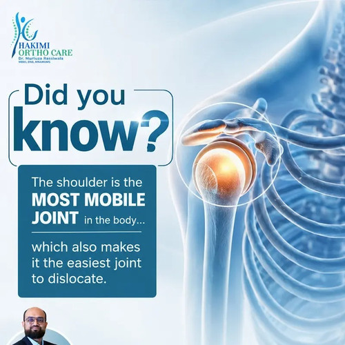 Anatomy Facts Mobility and Dislocation Risks of the Shoulder Joint.jpg
