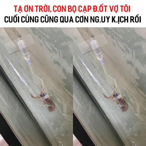 e6c735a7d1e7.jpg