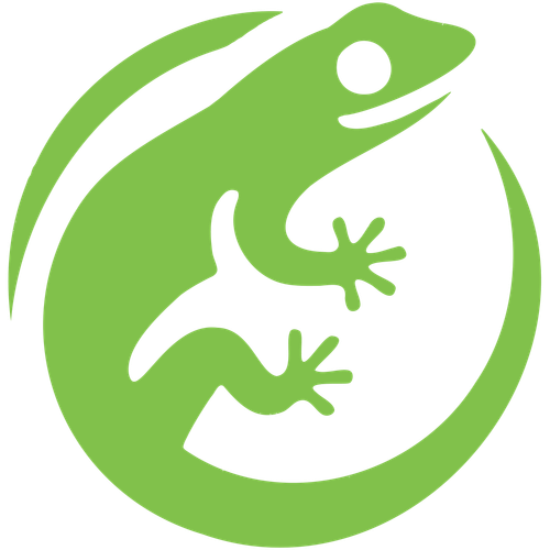 gecko motif green dVj7WBaT.png