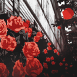 roses.gif