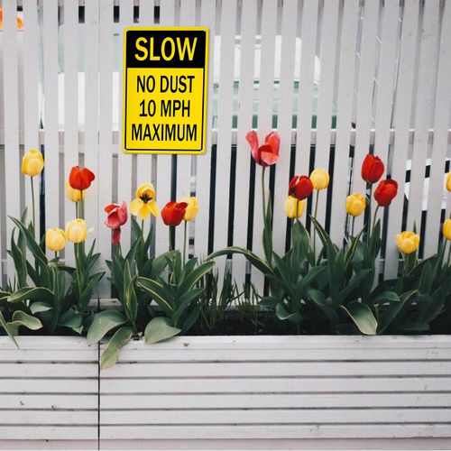 22 LP 0816 27.png