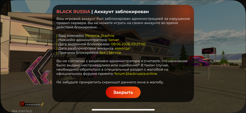 IMG 3438.png