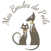 cropped logo transparent 1 180x180.png