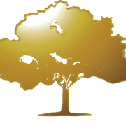426e3f de4cff710d3f4735a3c1b45bb68096d3%7Emv2.png