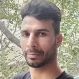 temp.png