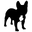 Stella Logo 32x32.png