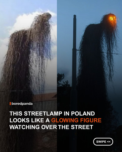 swipe to read.jpg