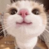 813441d471b6.gif