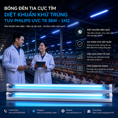 bong den tia cuc tim diet khuan khu trung tuv philips uvc 1m2 tuv 36w slv6 t8 dung trong trang trai.png