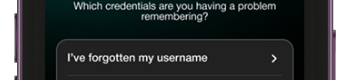username.png