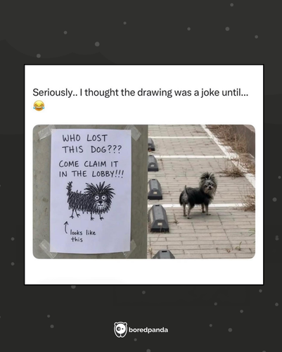 MEMES (27).png