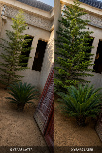 temp.png