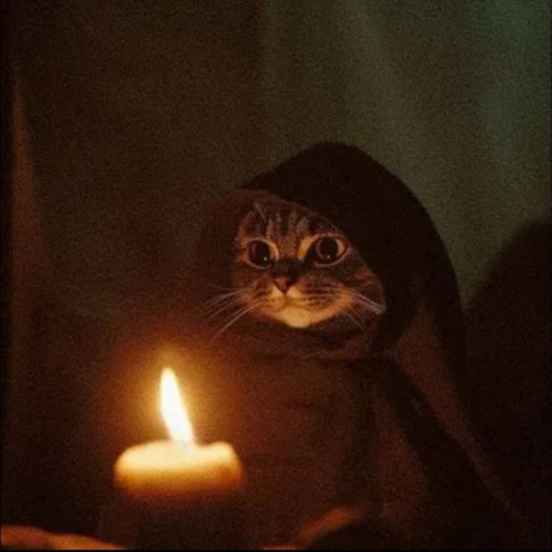 image.jpg