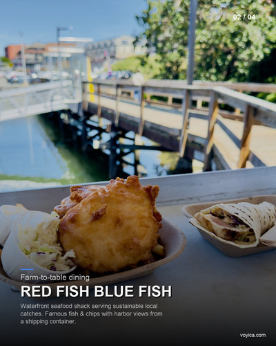 slide 02 red fish blue fish.jpg