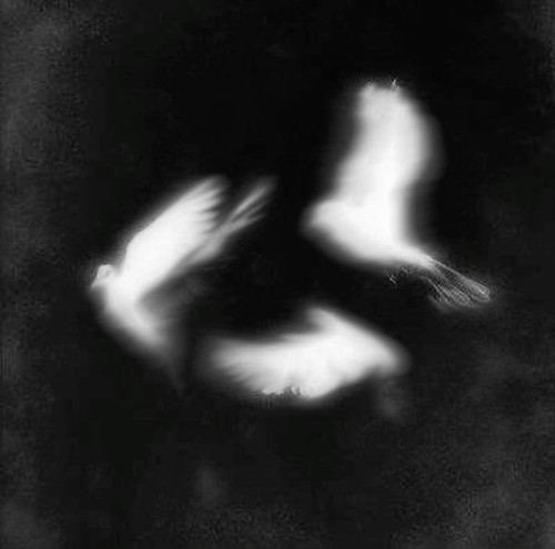 e0689a471c0b.jpg