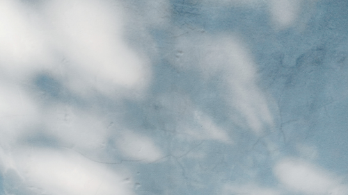 temp.png