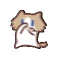 IMG 6970.gif