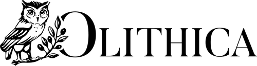 Olithica Logo final 470b503c 97f5 4057 b618 fc87d05b3b55 3999x.png