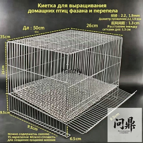 1780925109503.jpg