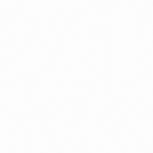 19e3ad564e9b.png